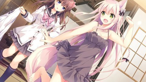 兽娘育成方案官网版