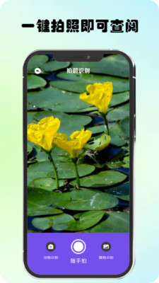 万物识图高手最新版